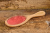 Brush Brush