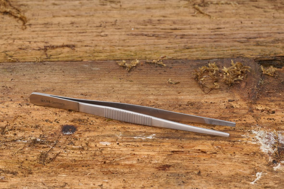 Thumb forceps Thumb forceps