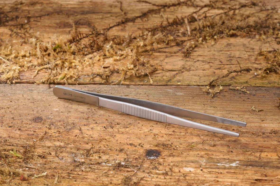Thumb forceps Thumb forceps
