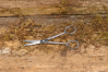 Fur / Dog scissors Fur / Dog scissors
